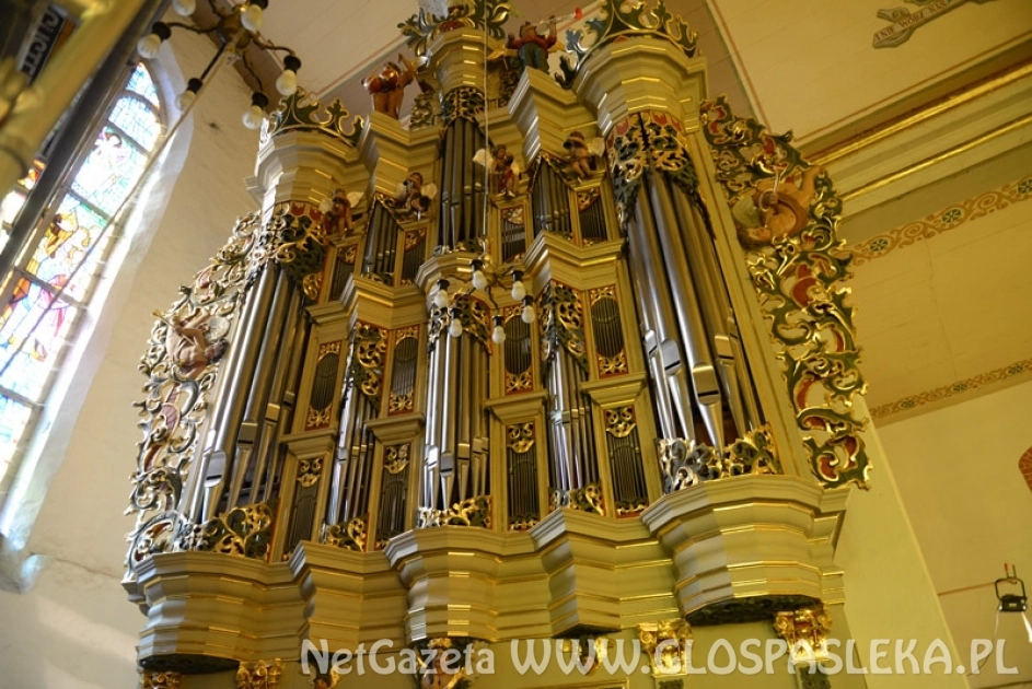 Noc z organami Hildebrandta