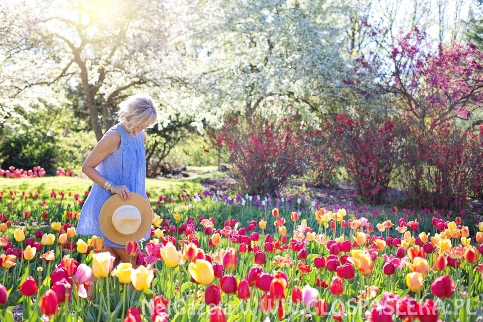 Jak zaprojektować ogród przed domem
