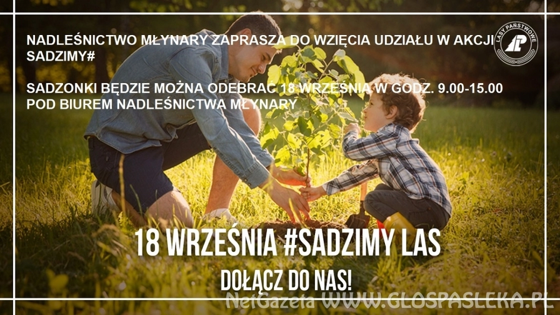 Akcja sadziMy