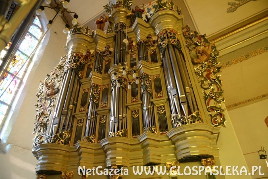 Debiuty przy organach Hildebrandta