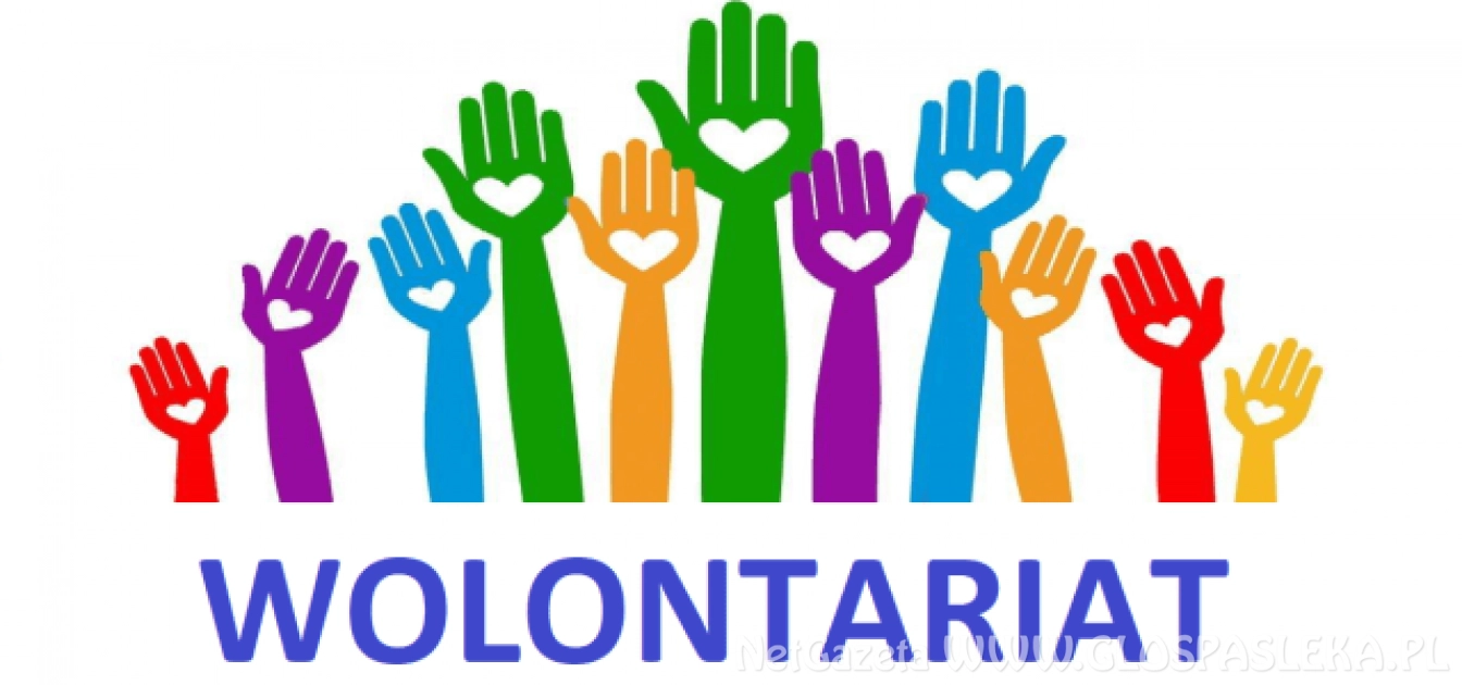 Wolontariusz Powiatu Elbląskiego 2020
