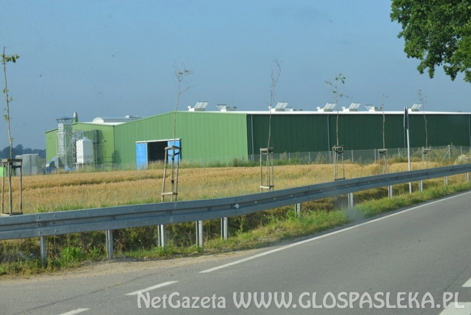 Eco - Capital ma nowego właściciela