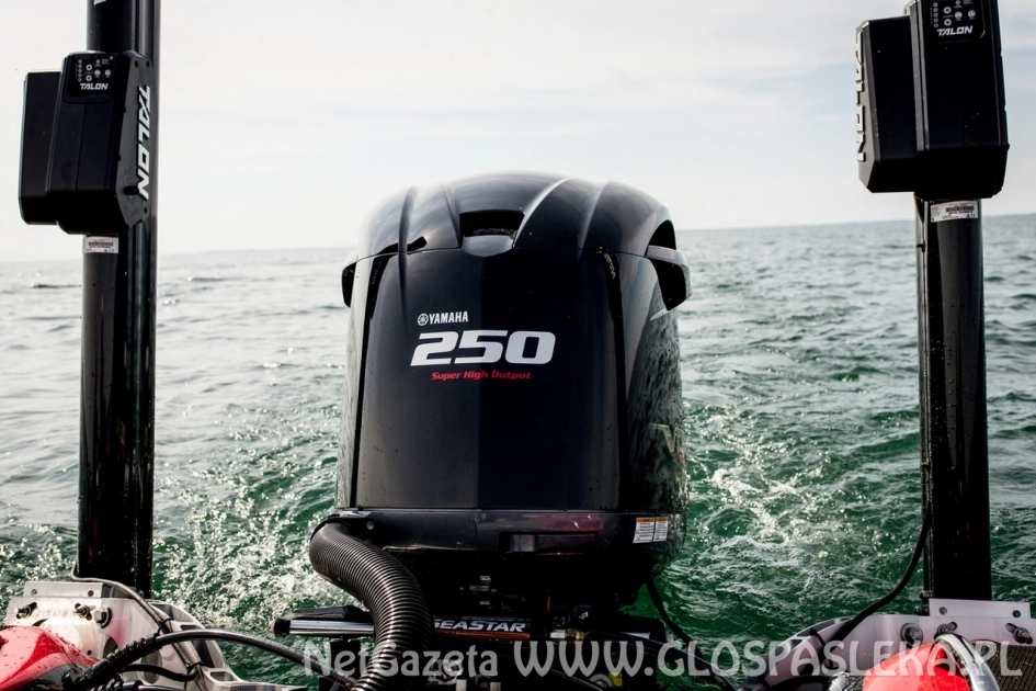 Jak wybrać idealny odkurzacz do domu