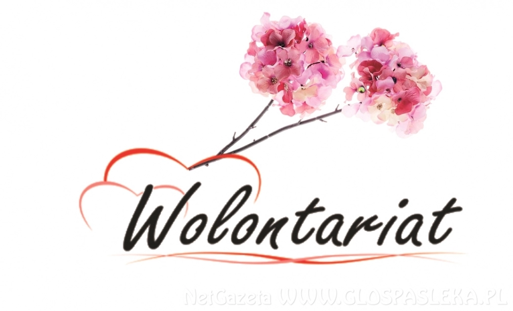 Nagroda Starosty Elbląskiego w dziedzinie Wolontariatu