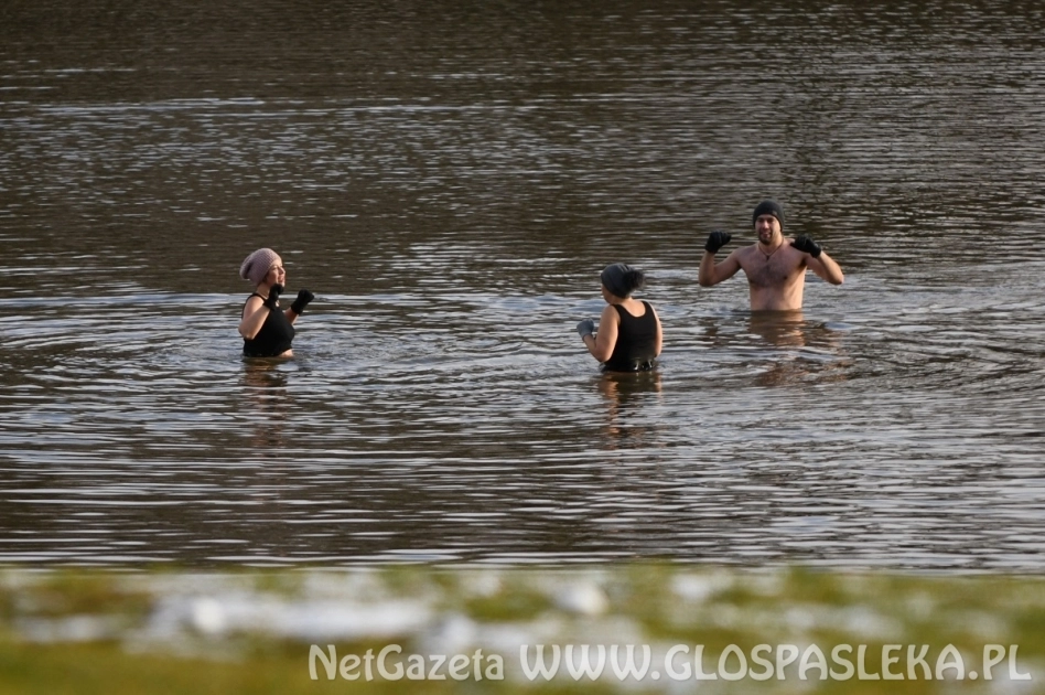 Świąteczna kąpiel morsów