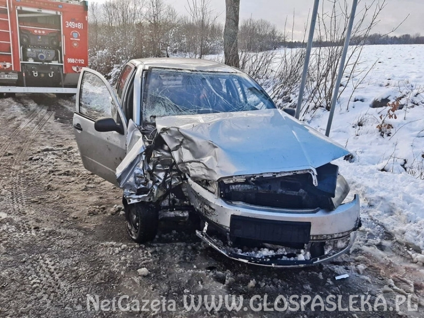 Wypadek w Bielicy i Kobylinach