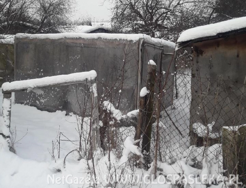 Bezdomny mieszka w „foliaku”