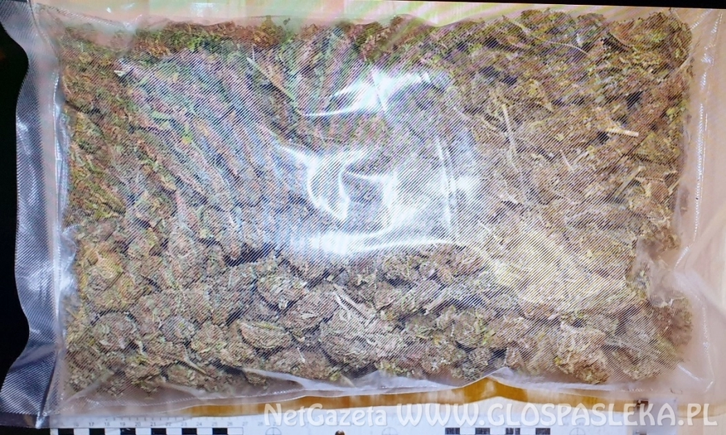 Policjanci z Elbląga zatrzymali 3 osoby i zabezpieczyli ponad 2 kilogramy narkotyków