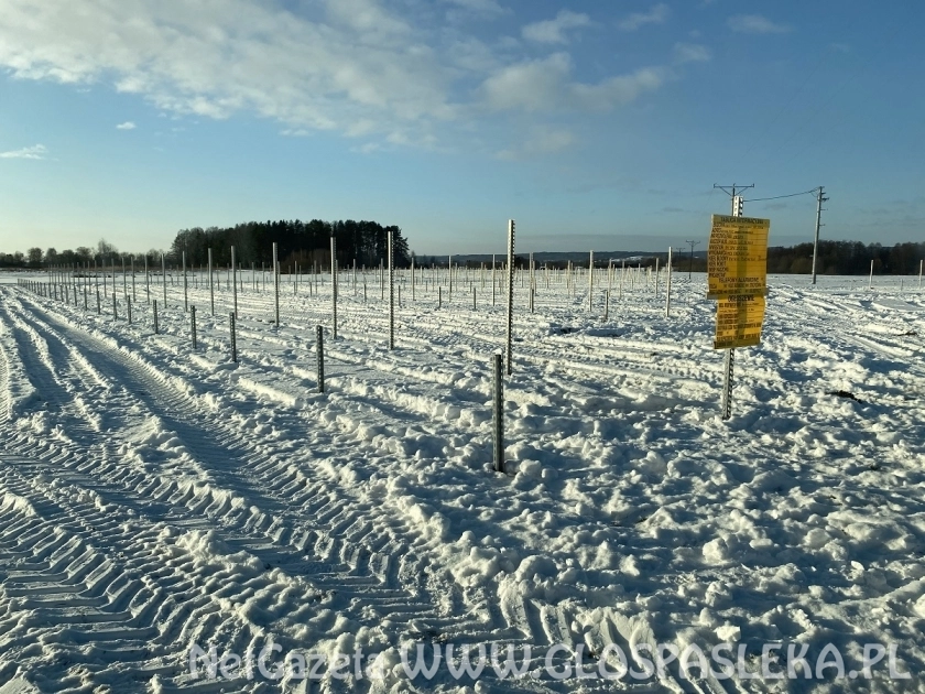 Powstaje nowa farma fotowoltaiczna