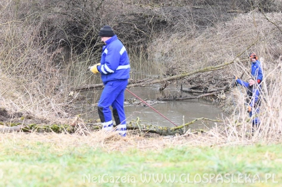 Usuwają zatory z Wąskiej