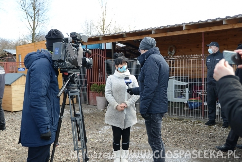 Służba więzienna dla schroniska Psi Raj
