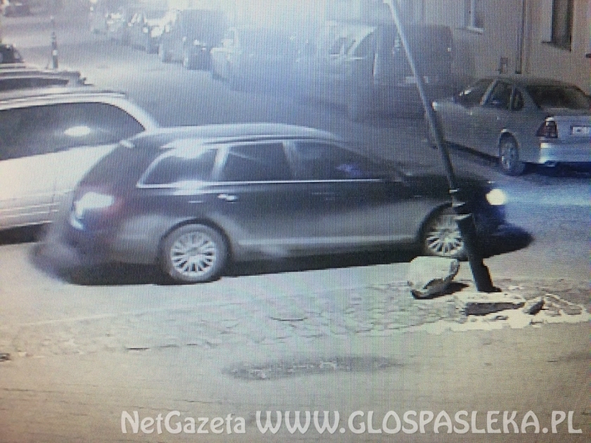 Cofając uszkodził latarnię