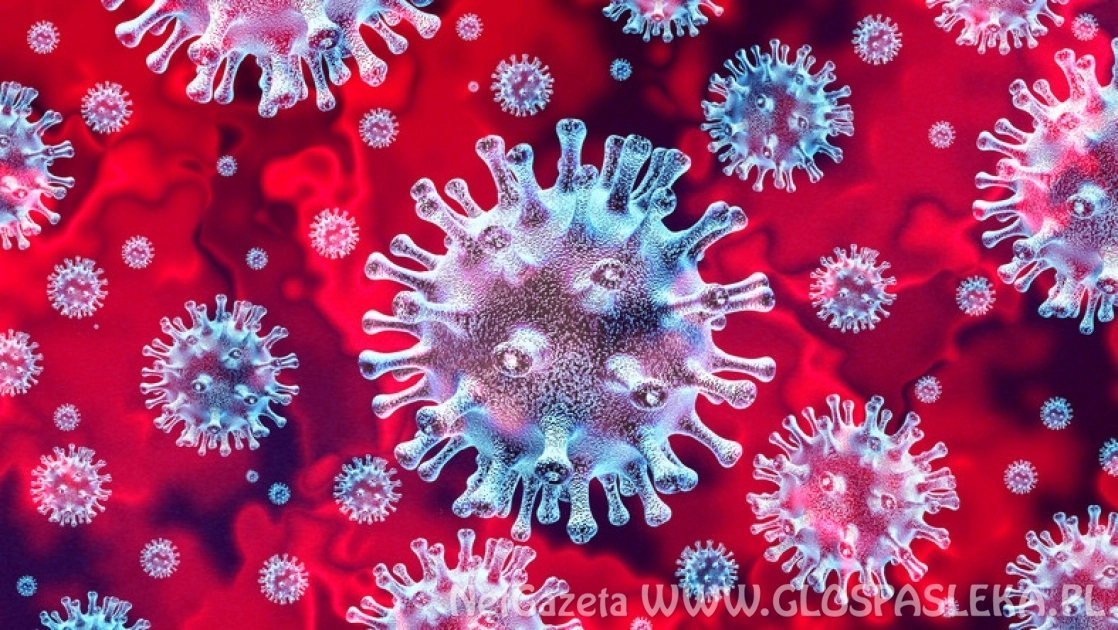 Covid – statystyki