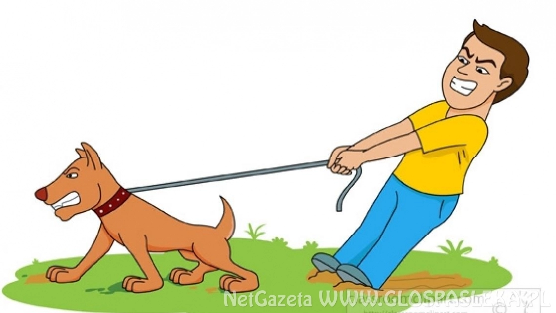 Mandaty dla właścicieli psów