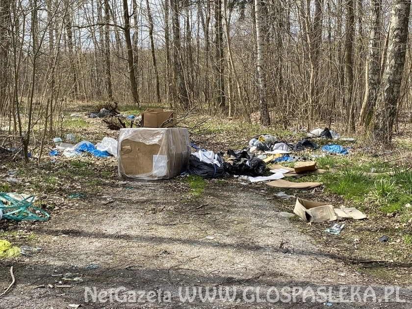 Wysypisko śmieci koło ronda Północ