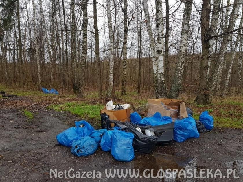 Śmieci wywiezione