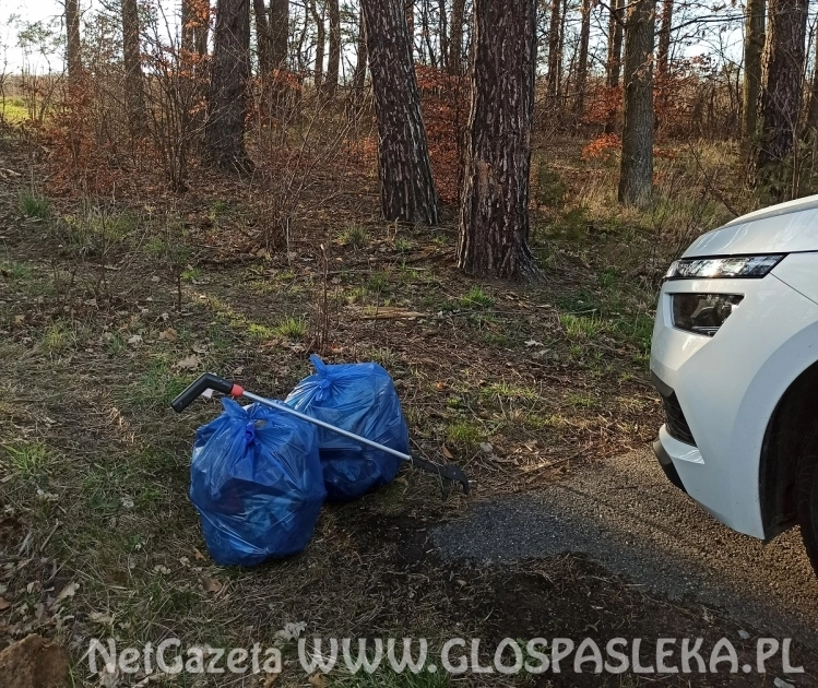 Sprzątamy las