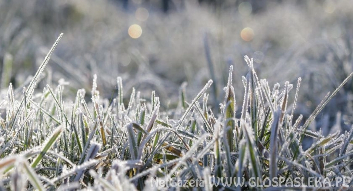 Wracają przymrozki