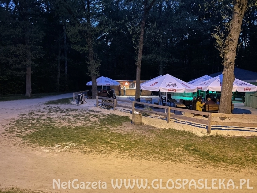 Zupełny brak wyobraźni i głupota