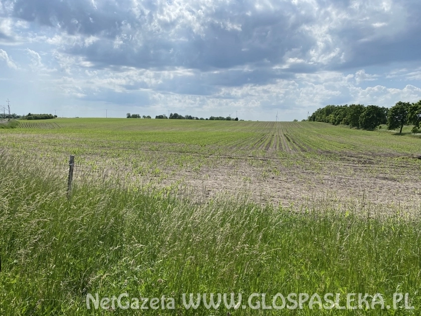 Powiat sprzedaje grunty