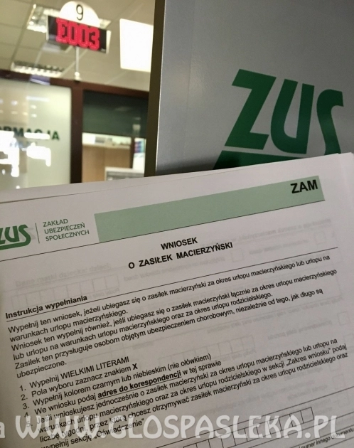 Ojcowie korzystają z urlopów celem wychowywania dziecka 