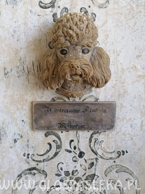 Charytatywna Aukcja Dzieł Sztuki i Rzeczy Ładnych