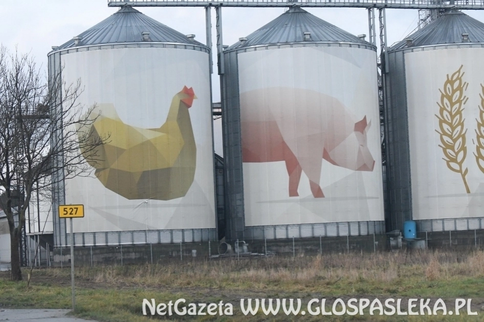 Możesz protestować