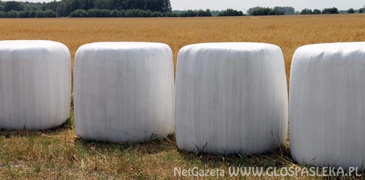 Nabór na usuwanie folii rolniczych 