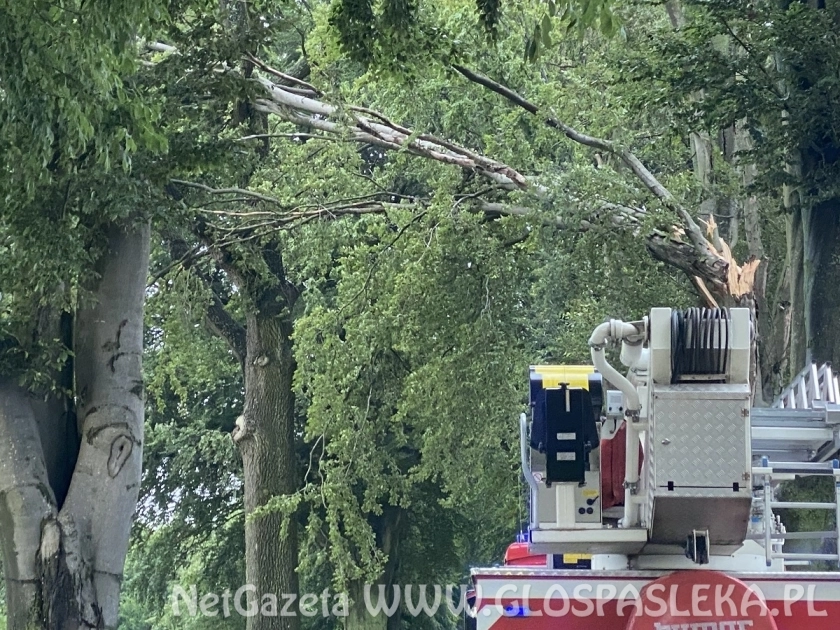 Połamane drzewa i kolizje