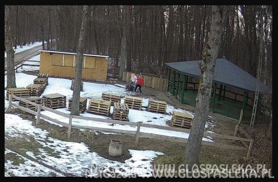 Wyrok w sprawie pobicia