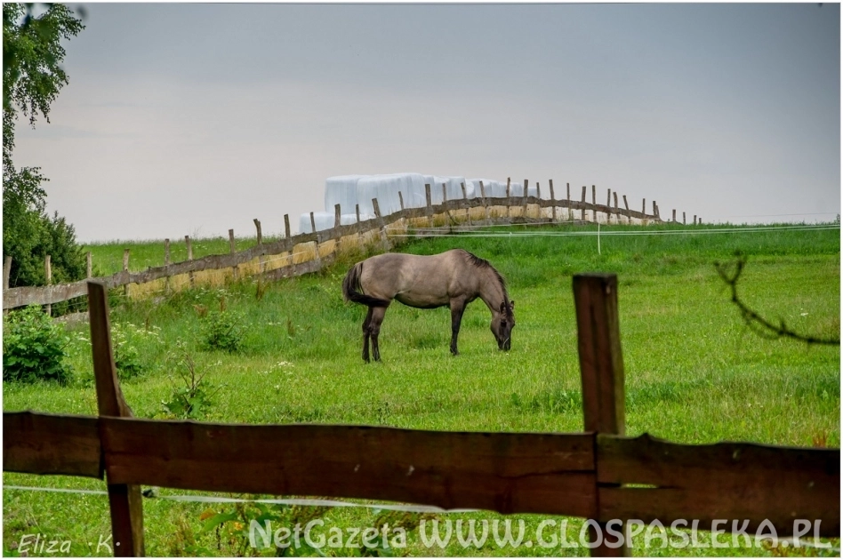 Plener Fotograficzny w Dobrym
