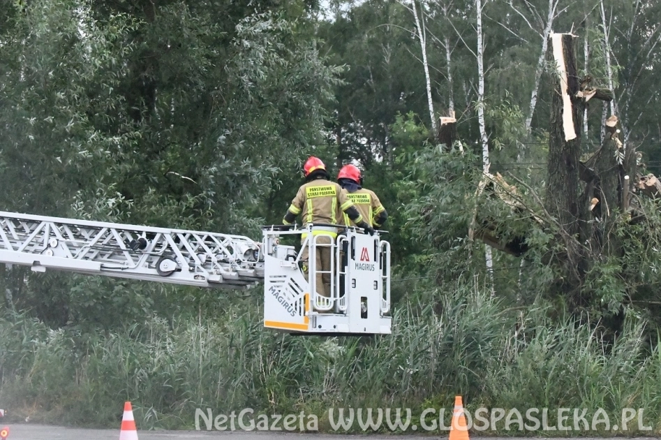 Szacowanie strat po wczorajszej burzy