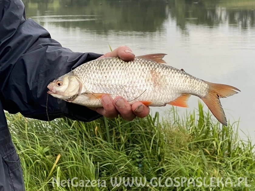 W trosce o jakość wody