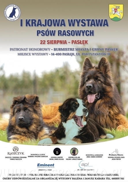Niedziela 22 sierpnia – wystawa psów rasowych