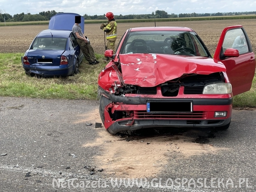 Sprawca wypadku zbiegł 