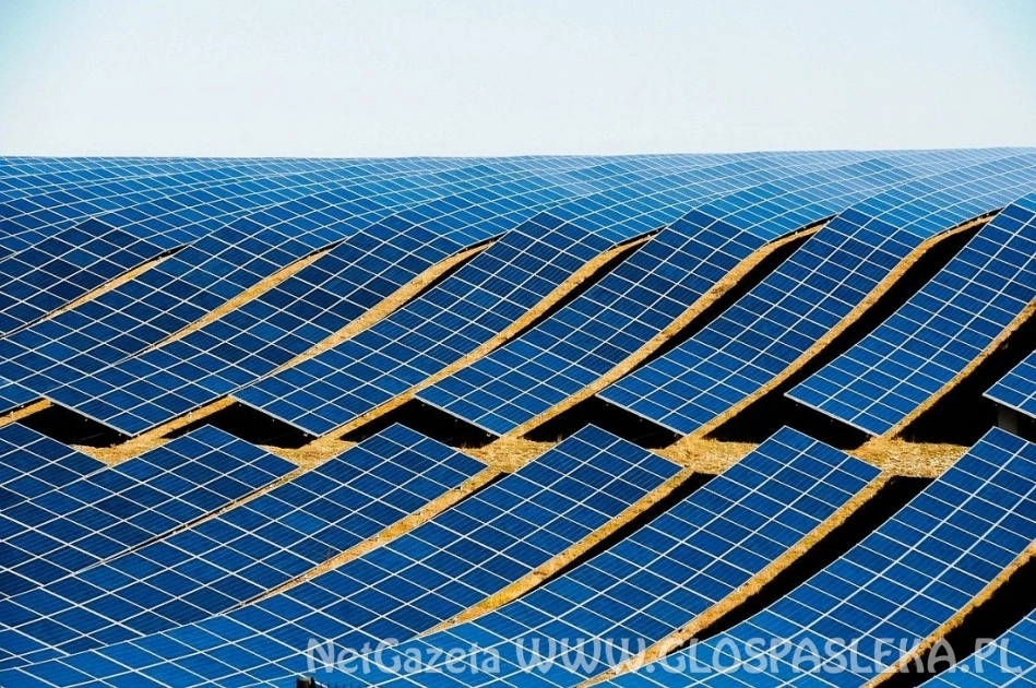 Perspektywy pracy i rozwoju kariery w branży OZE. Czy opłaca się kształcić w tym kierunku?