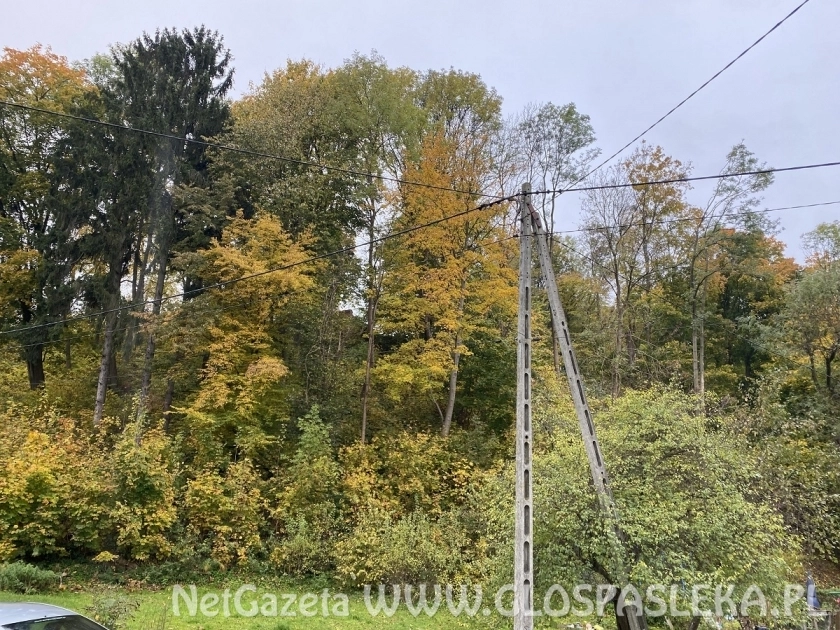 Porządki na wzgórzu zamkowym