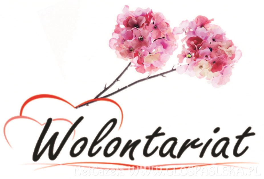 Wolontariusz roku 2021