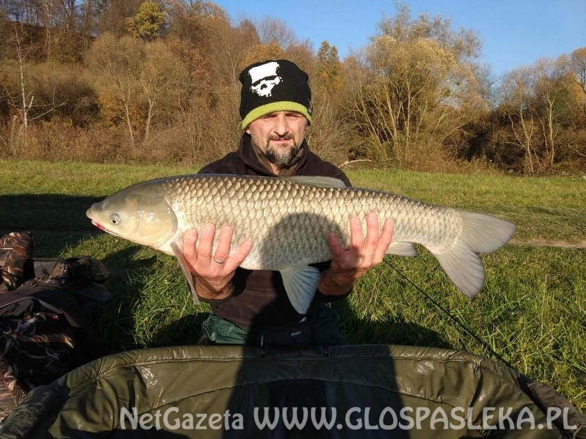 Amur na koniec sezonu