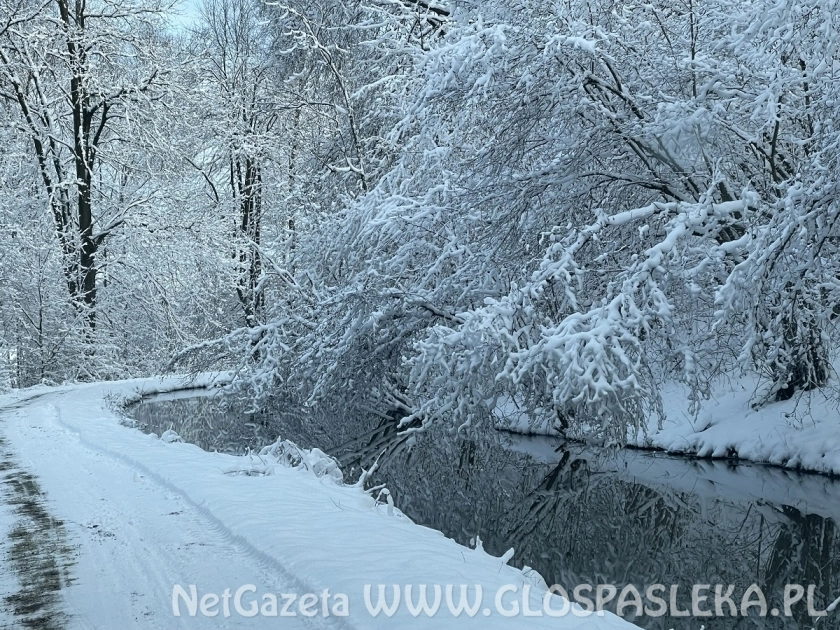 Niebezpiecznie na lodzie