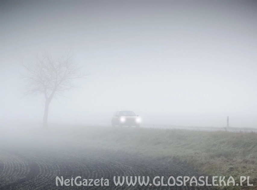 Opady marznące i mgła