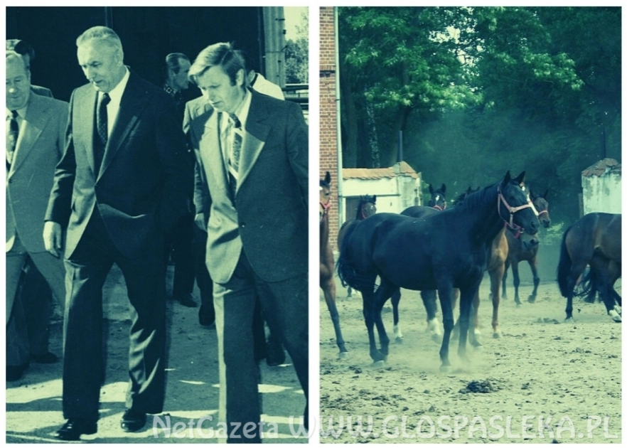 Nie mąż stanu, a siwy bajerant PRL-u. Jak Gierek wizytował okolice Pasłęka