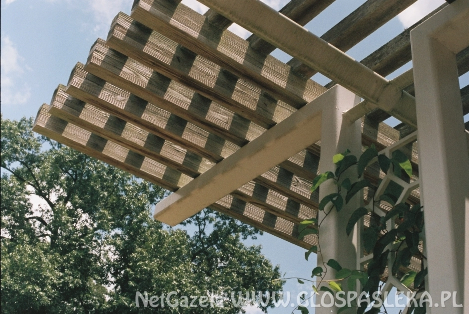 3 rzeczy, których możesz nie wiedzieć o pergolach