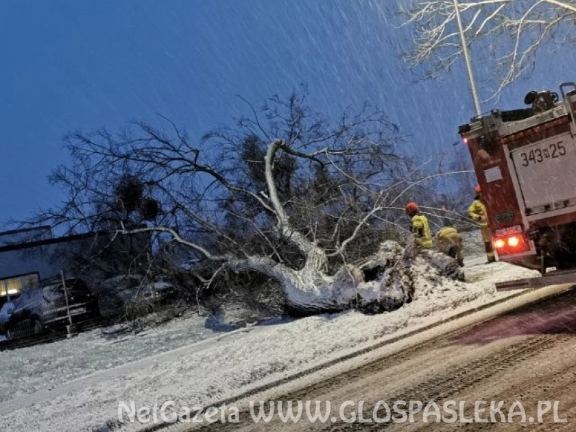 Minął weekend - areszt za znęcanie nad matką