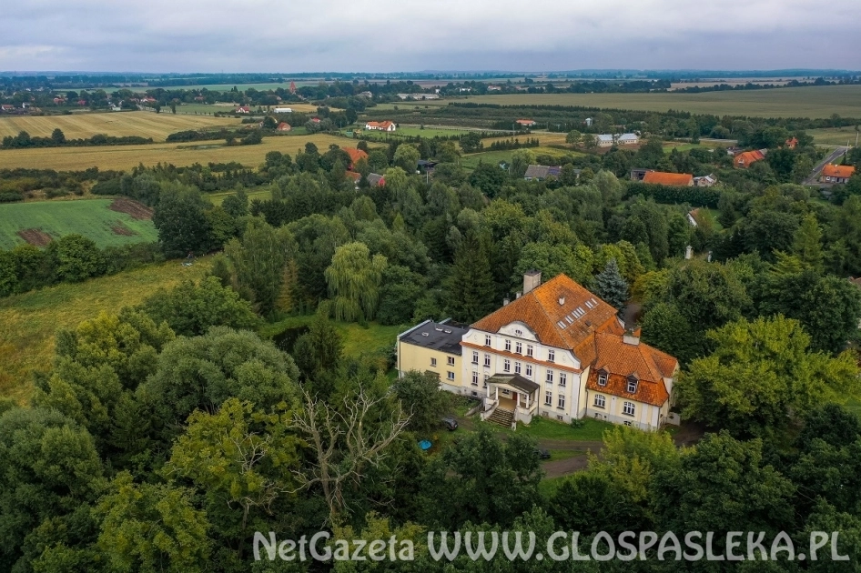 Atrakcyjny pałac wraz działką do sprzedaży