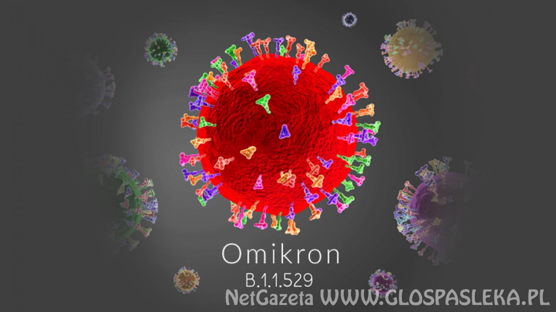 Szczepienia na stałym poziomie