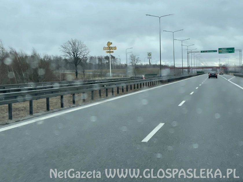 Powalone drzewa i kolizje