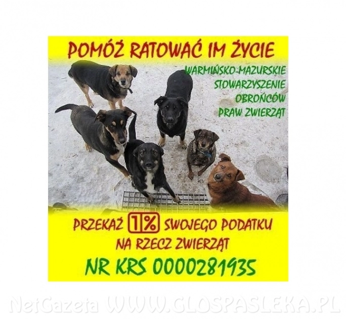 Przekaż 1 % na schronisko