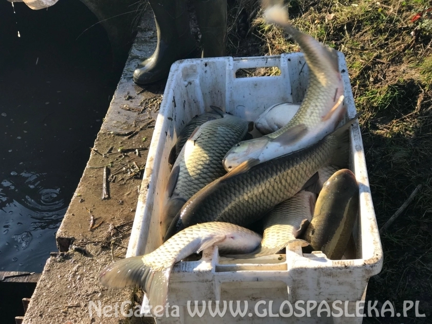 Przypominamy - Karnety od 15 marca