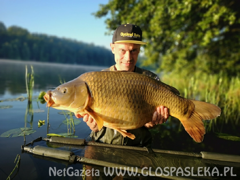 Jak skutecznie łowić ryby? O method feeder słów kilka